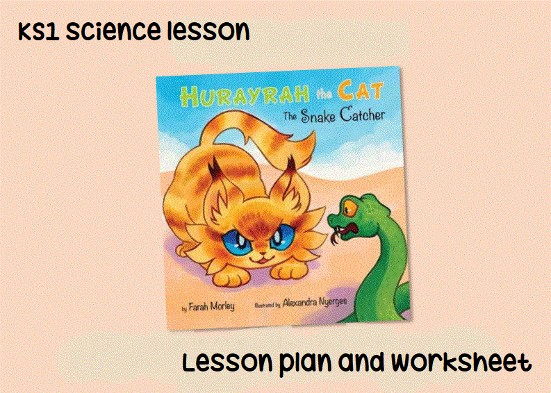 KS1 Science lesson – Plan and resource